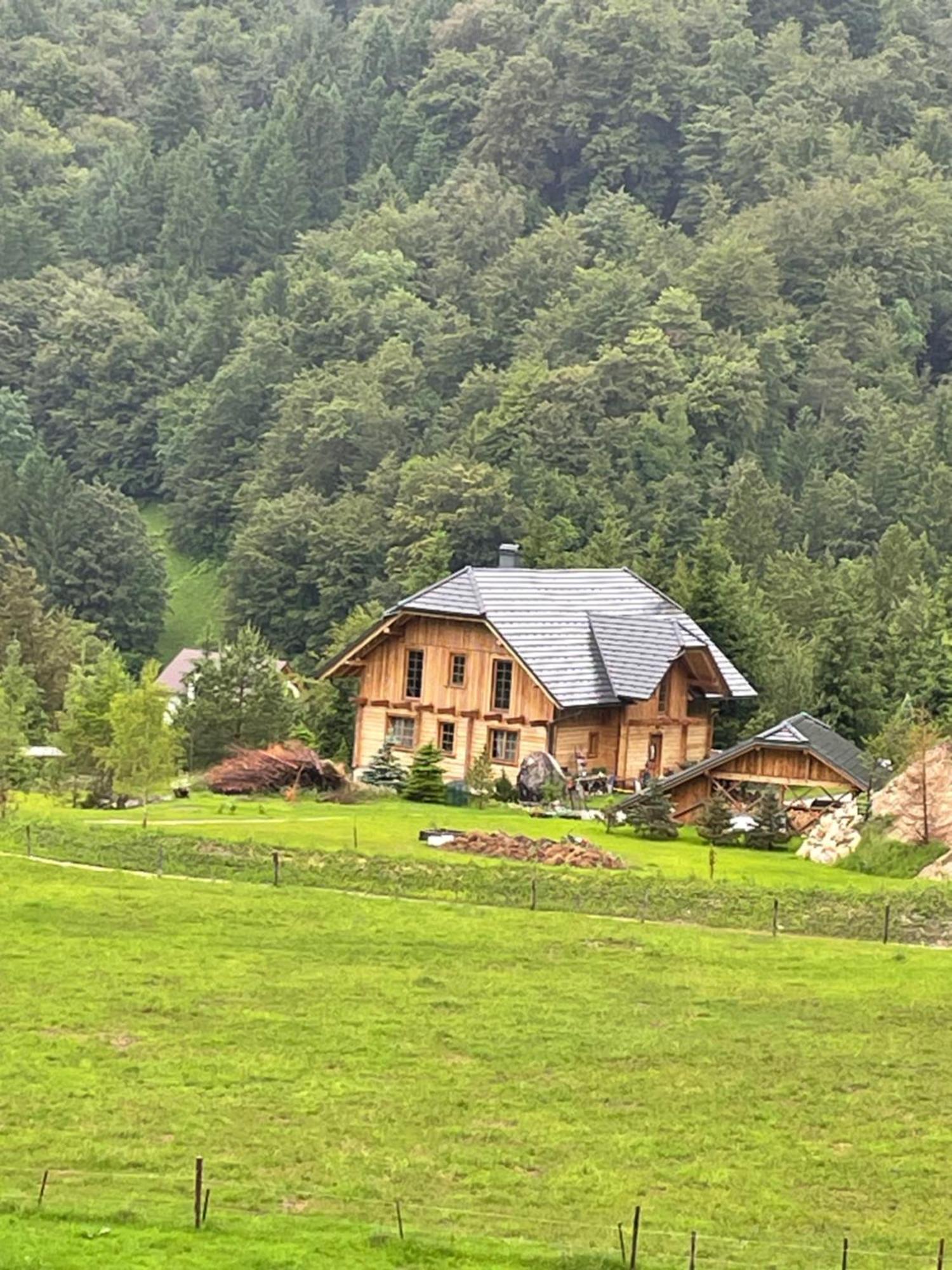 Apartment Pod Skalco Jesenice Bagian luar foto