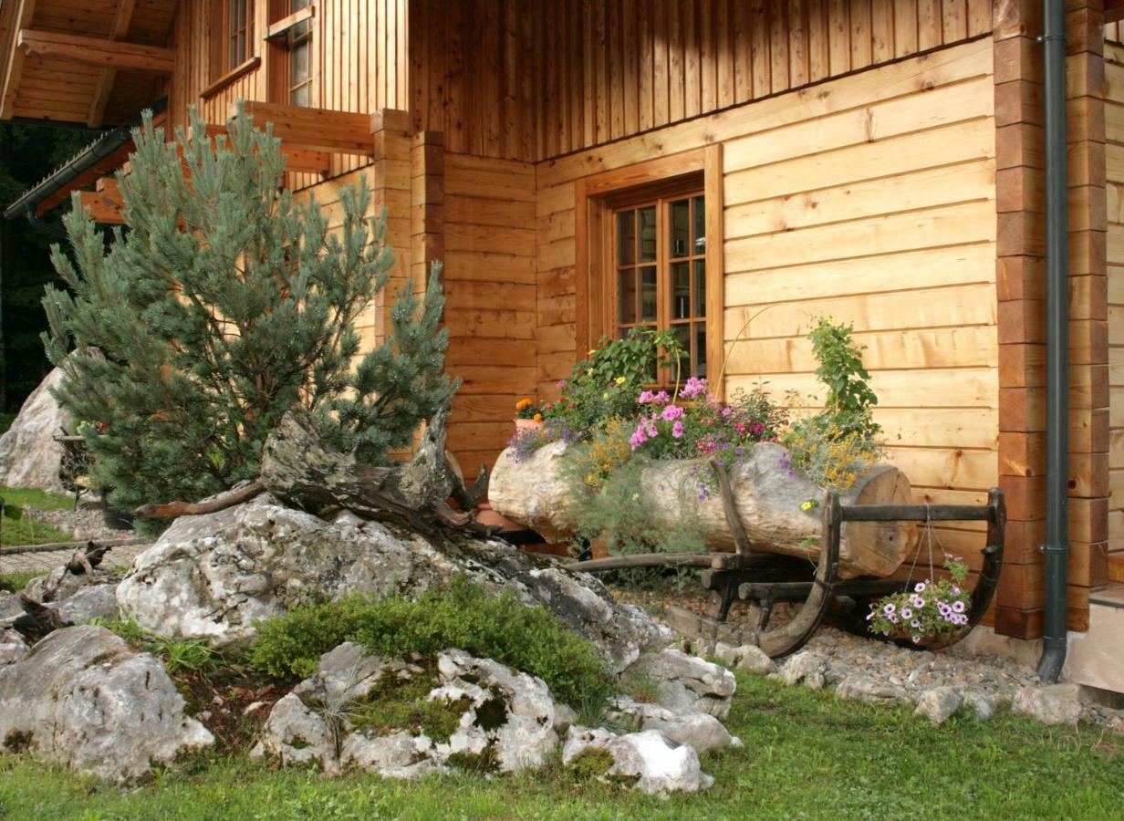 Apartment Pod Skalco Jesenice Bagian luar foto