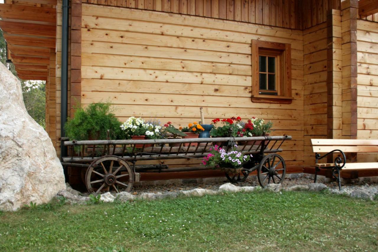 Apartment Pod Skalco Jesenice Bagian luar foto