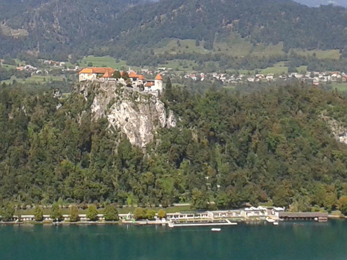 Apartment Pod Skalco Jesenice Bagian luar foto