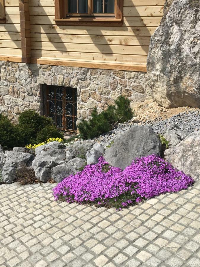 Apartment Pod Skalco Jesenice Bagian luar foto